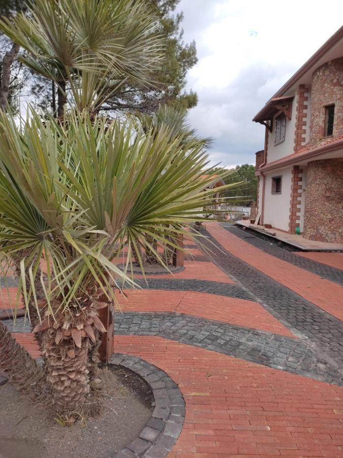 לינה וארוחת בוקר ניקולוסי Etna Casa Del Sole מראה חיצוני תמונה